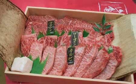 C-12.【和牛専門店がセレクト】大和牛 希少部位 盛り合わせ 600g 焼肉用