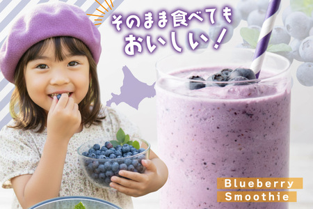 〈先行予約〉 冷凍 ブルーベリー 1kg [ノーザン・ベリーズ 北海道 砂川市 12260395]