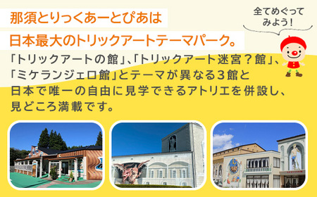 那須とりっくあーとぴあ 単館 入館券（ペア大人）｜ トリックアート チケット 券 入場券 観光 国内旅行 ファミリー 家族 那須 栃木県 那須町〔P-192〕