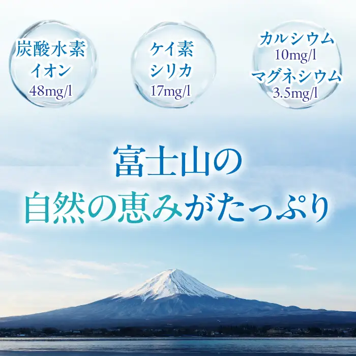【12ヵ月定期便】FUJI SUN SUI 500ml 24本入り×2 YAQ004