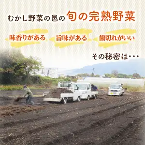  むかし野菜の邑　大分市産直　自然栽培の野菜セット F01005
