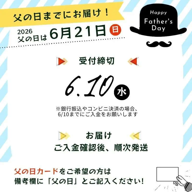父の日 南信州ビールOgna「飲み比べセット」（4種12本） お酒
