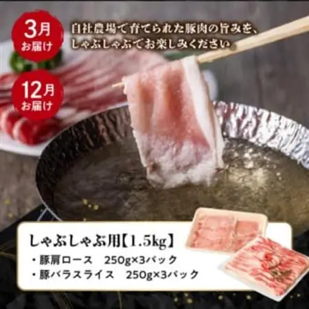 【発送月固定定期便】鹿児島県産 カミチク豚 定期便(南九州市)全4回【配送不可地域：離島】【4081547】