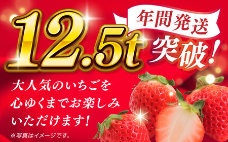 冷凍 いちご ゆうべに 約4kg【熊本ベリー】[ZER015]