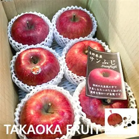 ~信州中野の旬をお届け~ サンふじ　贈答用　大玉5～6玉入り【高丘フルーツ】　【1296935】