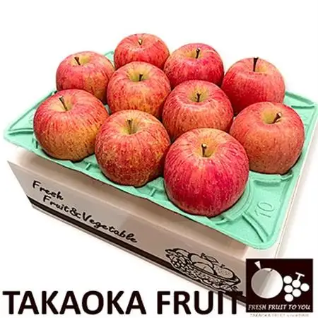 ~信州中野の旬をお届け~ サンふじ　贈答用　約3kg(8～10玉)【高丘フルーツ】【1297193】