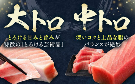 対馬産 生 本マグロ 800g （赤身、中トロ、大トロ） [WAH026] 中トロ 大トロ まぐろ マグロ 鮪