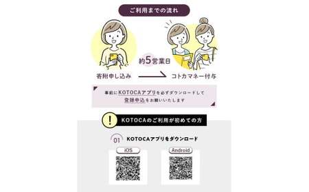 琴平町電子地域通貨KOTOCA 3000円 F5J-470