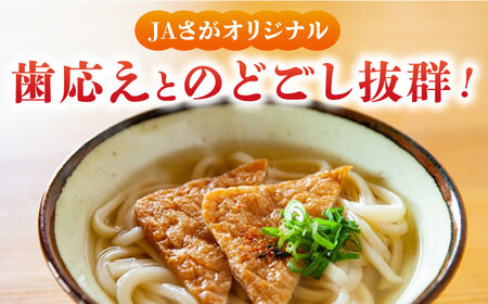 さがもちもち子うどん 計20袋（めん、スープ付き） / うどん  / 佐賀県 [41AABE087]
