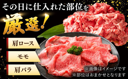 【 訳あり 】 博多和牛 750gセット（スライス肉・切り落とし肉） 桂川町/株式会社 MEAT PLUS [ADAQ024] 訳あり 訳あり品 セット しゃぶしゃぶ すきやき 牛