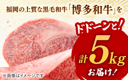 【訳あり】博多和牛 サーロイン ステーキ 5kg [ADAQ028] サーロインステーキ