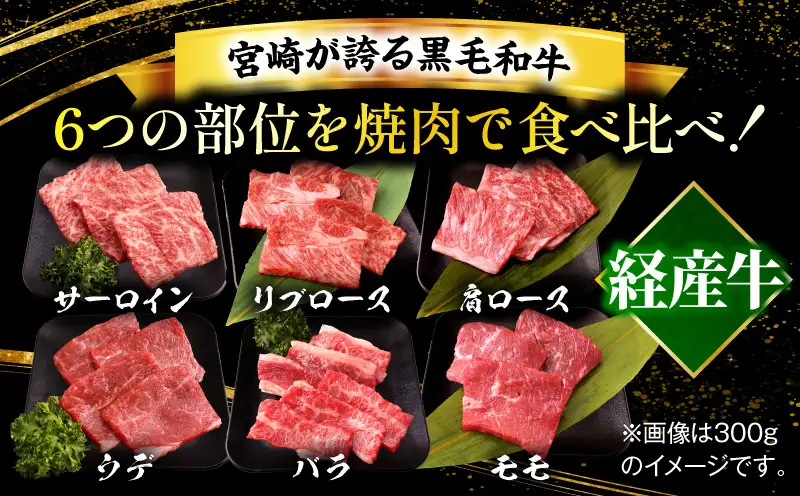 宮崎県産黒毛和牛(経産)6種焼肉セット 600g