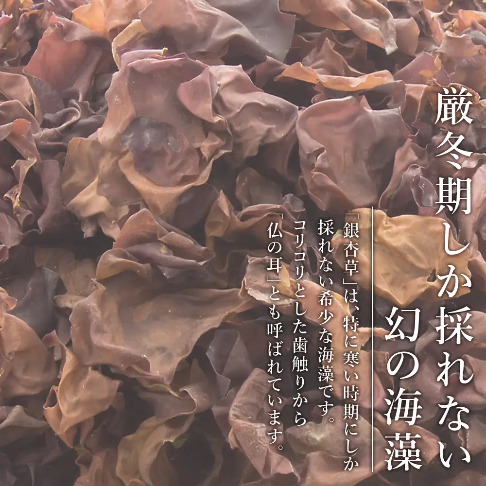 おらいの利尻海藻 銀杏草 7g×2袋《昆布屋神兵衛》