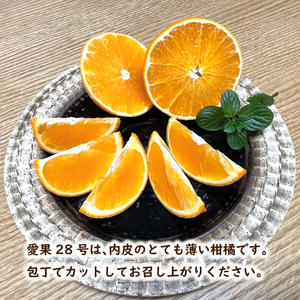 【2026年12月頃から順次発送】 愛果28号 (家庭用) 約2kg | みかん 柑橘 あいか 蜜柑 みかん 愛媛県 松山市【SKE001】