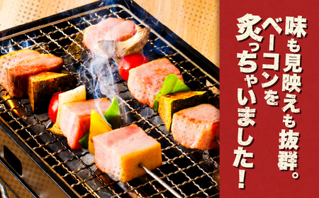 炙り ベーコン ブロック 約 3kg K161-018_03 肉 豚肉 惣菜 総菜