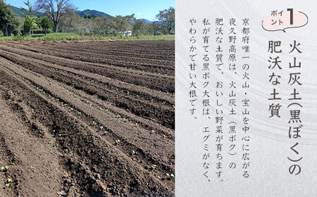 京都・夜久野高原の黒ボクで育った切干し大根 (140g×2袋) ふるさと納税 福知山市 切干し大根 切り干し大根 切干大根 切干 黒ボク大根 黒ボク 大根 夜久野高原 夜久野 勝農家 おいしい 和食 【fc-DP001】【勝農家】