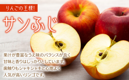 訳あり 先行予約 りんご サンふじ 選べる 4.5kg 9kg フルーツ 果物 傷 規格外 秋 冬 旬 旬のフルーツ 旬の果物 産地直送 信州 長野県産 おやつ デザート スイーツ リンゴ 長野県 2024 2024年 令和6年度発送分