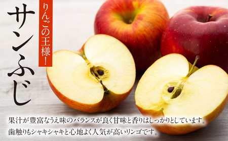 贈答用りんご サンふじ シナノゴールド 約3kg 12玉 (各6玉) りんご リンゴ 林檎 信州りんご 信濃ゴールド 果物 フルーツ 旬の果物 旬のフルーツ デザート 贈答用 ギフト 贈り物 プレゼント 長野 長野県 箕輪町