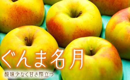 りんご ぐんま名月 4.5kg 14～18玉 贈答用 果物 くだもの フルーツ 林檎 リンゴ ぐんま名月りんご 信州りんご 旬の果物 旬のフルーツ ギフト 贈り物 プレゼント 長野 長野県 箕輪町