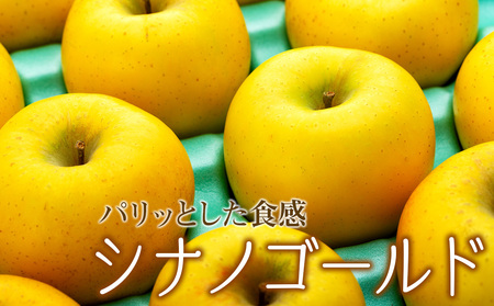 りんご シナノゴールド 4.5kg 14～18玉 贈答用 果物 くだもの フルーツ 林檎 リンゴ 信濃ゴールド 信州りんご 旬の果物 旬のフルーツ ギフト 贈り物 プレゼント 長野 長野県 箕輪町