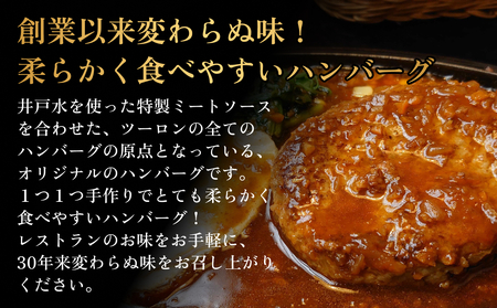ソフトハンバーグ 5個 ｜ ソース付き ミートソース 柔らか ハンバーグ 湯煎 冷凍 おかず 惣菜 温めるだけ 簡単調理 お取り寄せ 小分け 5個 富山 氷見 