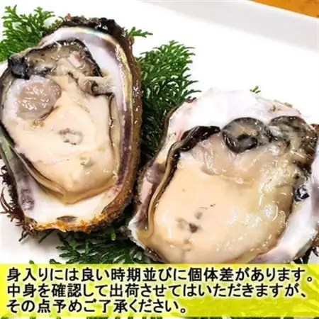 山陰の天然岩ガキ詰合せ(大きさにより5～7個入)　牡蠣は殺菌済　下処理済　生食OK　バーベキュー【配送不可地域：離島・北海道・沖縄県・東北】【1114074】