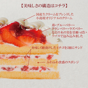 苺と木の実のショートケーキ４号 0105-004-S06