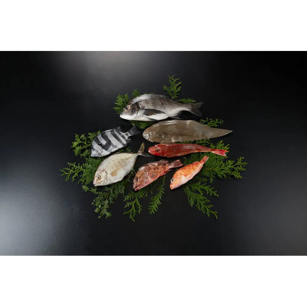 ＜火～木着※指定日不可＞＜期間限定＞＜4月上旬～10月末頃発送予定＞朝獲れ鮮魚ボックス「美保湾の恵み」(計2.5kg以上)