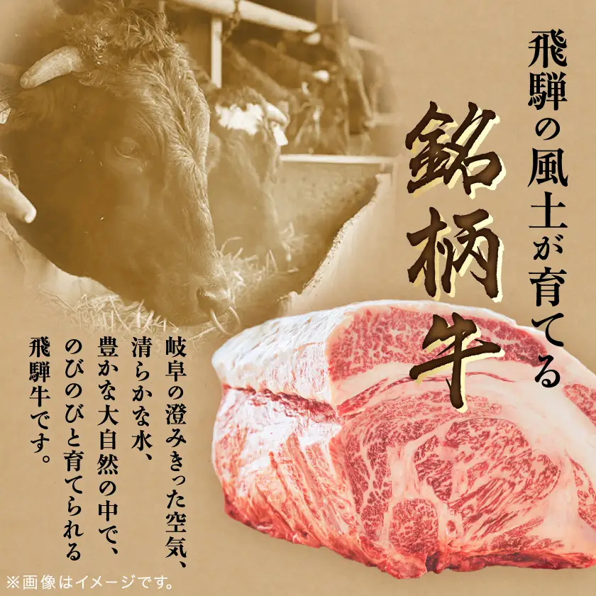 飛騨牛　ロースまたは肩ロース　すき焼きしゃぶしゃぶ用 360g【配送不可地域：離島】【1042662】