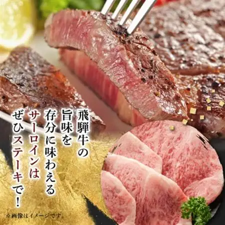 【飛騨牛】5等級サーロインステーキ 計約800g (200g×4枚) 岐阜県産 黒毛和牛【配送不可地域：離島】【1046754】