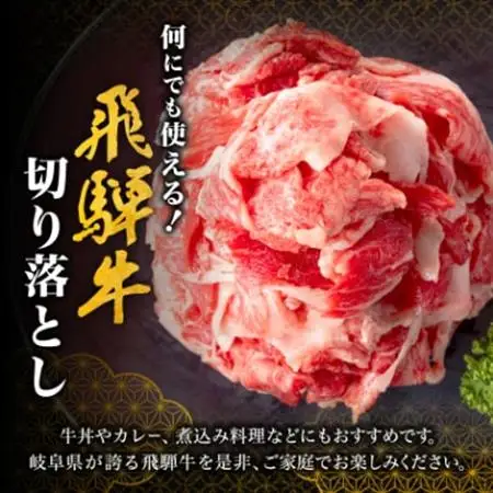 何にでも使える!【飛騨牛】切り落とし800g 岐阜県産 黒毛和牛【配送不可地域：離島】【1046755】