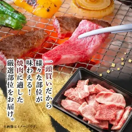 【飛騨牛】切り落し焼肉用 400g 岐阜県産 黒毛和牛【配送不可地域：離島】【1107365】
