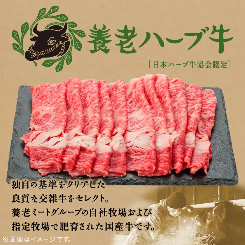養老ハーブ牛　ロースまたは肩ロース　すき焼き・しゃぶしゃぶ両用　500g【配送不可地域：離島】【1273632】
