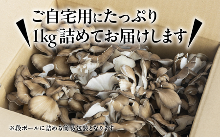 訳あり（簡易包装）飛騨舞茸 1kg 舞茸【60-2】