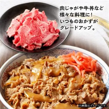 【飛騨牛】　切り落とし　500g入り(250g×2)【配送不可地域：離島】【1418309】
