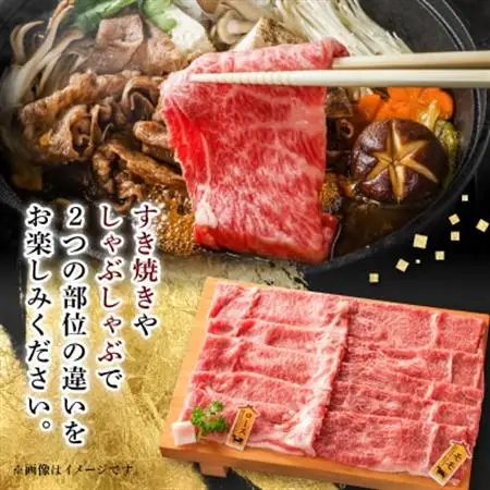 【飛騨牛】ロース、モモスライス詰め合せ 計約500g (各種250gずつ) 岐阜県産 黒毛和牛【配送不可地域：離島】【1435802】