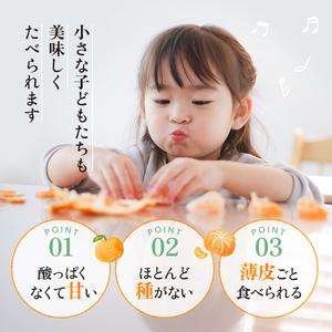 【先行予約・数量限定】 地元で大人気の 秀品 せとか 3kg 【M～2Lサイズ混合】【2027年3月中旬から2027年3月下旬頃に順次発送】〈味好農園〉 /ミカン 蜜柑 柑橘 フルーツ くだもの 果物 甘い ジューシー 果汁があふれる【agy014-p-3】