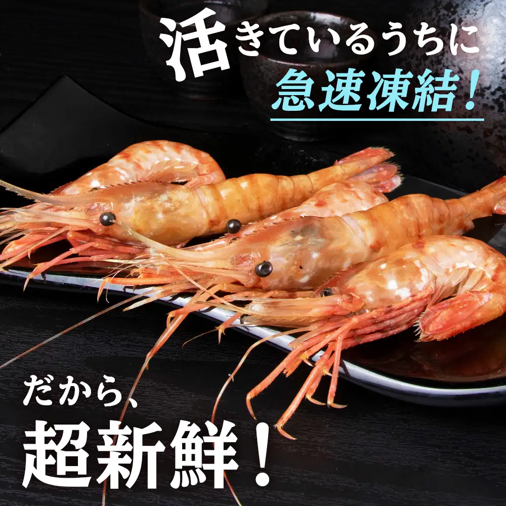 ぼたん海老 北海道 虎杖浜産 約400g AA031