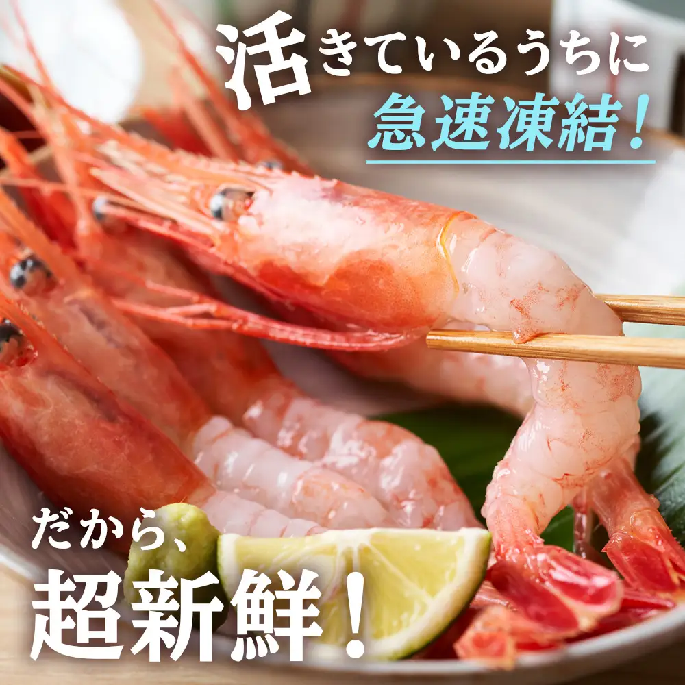 甘海老 北海道 虎杖浜産 約600g AA032
