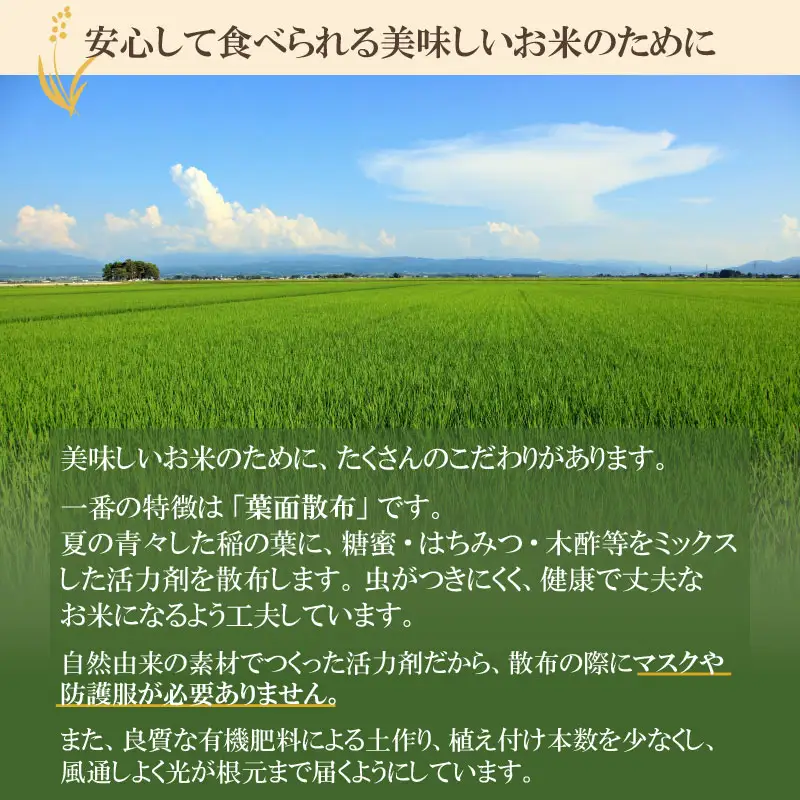 【令和7年産】 井上農場の特別栽培米 雪若丸 無洗米 8kg（2kg×4袋） K-756