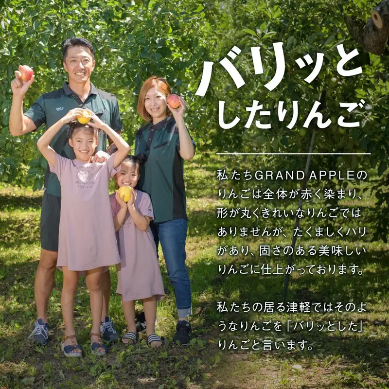 【先行予約】＜大玉指定＞葉とらず サンふじ 特A ご家庭用 3kg りんご リンゴ 林檎 F41-0023