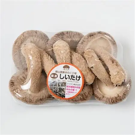 【農福連携】千葉県館山産 生しいたけ110g×5パック 就労継続支援A/B型併用事業所「ゆみの里」【配送不可地域：離島・沖縄県】【1486687】