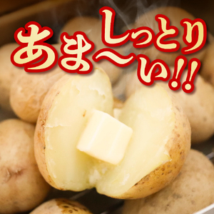 【先行受付】【2026年4月より順次発送】北海道十勝芽室町　なまら十勝野　越冬じゃがいも　はるか　5kg　芋 ジャガイモ ポテト イモ いも 産地直送 新鮮 野菜 常温配送 送料無料 北海道 十勝 芽室町me001-028c