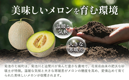 メロン 肥後グリーンメロン 中 Lサイズ 2玉 約1.4～1.6kg×2 MOTOYAMA358FARM 《2026年5月下旬-6月下旬頃出荷》 熊本県 菊池市 メロン 果物 フルーツ 九州産 国産 送料無料
