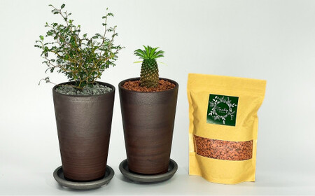 三河焼植木鉢ハーモニーブラウン【テラチップ赤焼】プランター お手軽植物栽培セット 園芸 粘土 鉢 植物 土 シルバー 赤 茶 H188-004