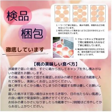【発送月固定定期便】山梨夏の味覚定期便〈桃 約2kg/シャインマスカット 1.1kg以上〉全2回【配送不可地域：離島】【4050317】