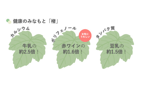 OGAWA楮寿園 楮ハーブティー ガレット 詰め合わせ (大) [おいでなせえ 埼玉県 小川町 237]