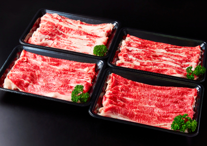 【定期便】全6回 A5 近江牛 切り落とし 食べ比べ 1kg (250g×4p) 6回 【FO27W】 近江牛 定期便 切り落とし