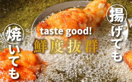 【2週間以内発送】【訳あり】九州産若鶏手羽元 揚げるだけスパイシーチキン3㎏_K16_0085_2S