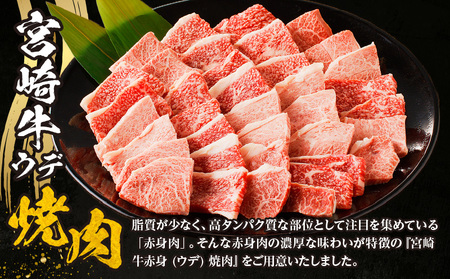 牛肉 宮崎牛 ウデ 赤身 焼肉 700g 牛肉